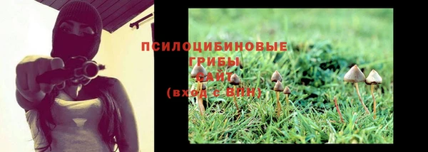 гидропоника Липки