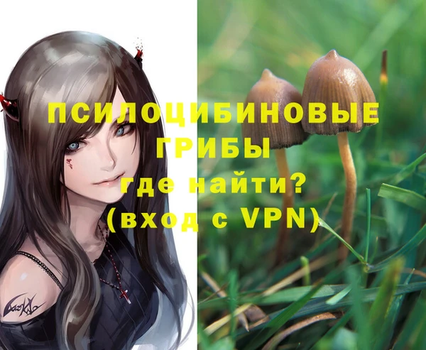 гидропоника Липки