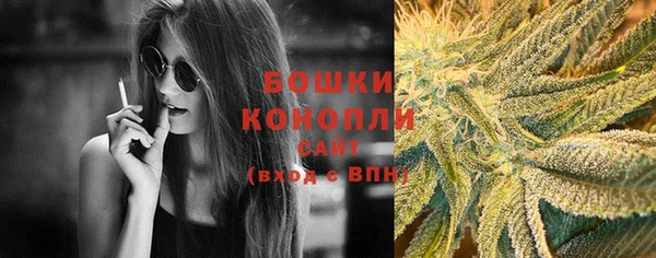 спайс Лагань