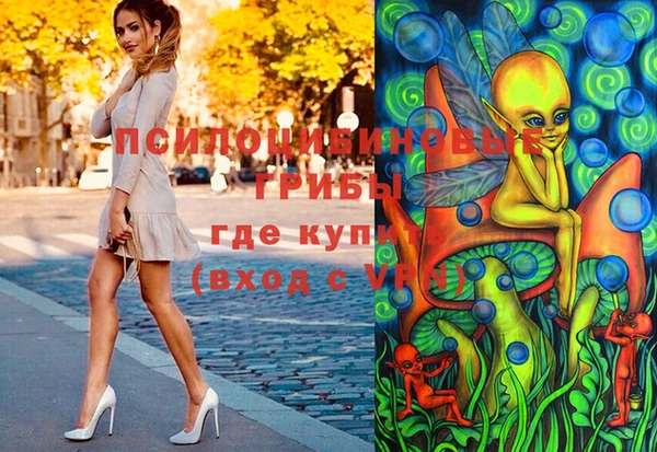 ешки Ладушкин
