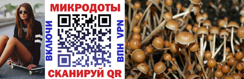 Галлюциногенные грибы Magic Shrooms  Купить закладки  Можга 